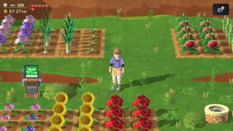 Harvest Moon