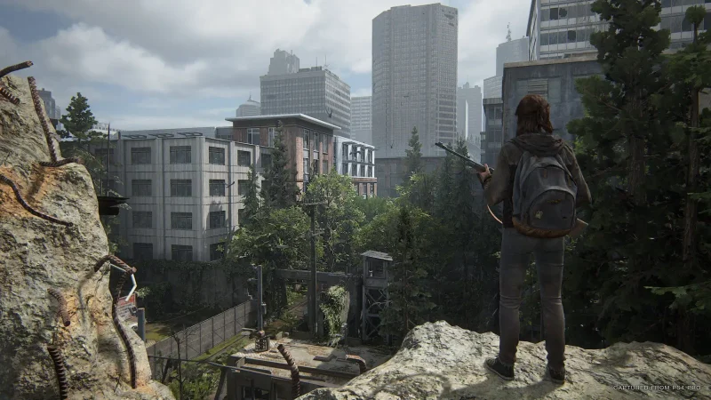 the last of us